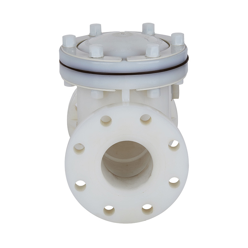 PVDF H44F-10F Supapă de reținere tip balansoar DN15-300 GB Standard