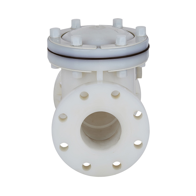 PVDF H44F-10F Supapă de reținere tip pivotant DN15-300 1/2'-12' Standard ANSI
