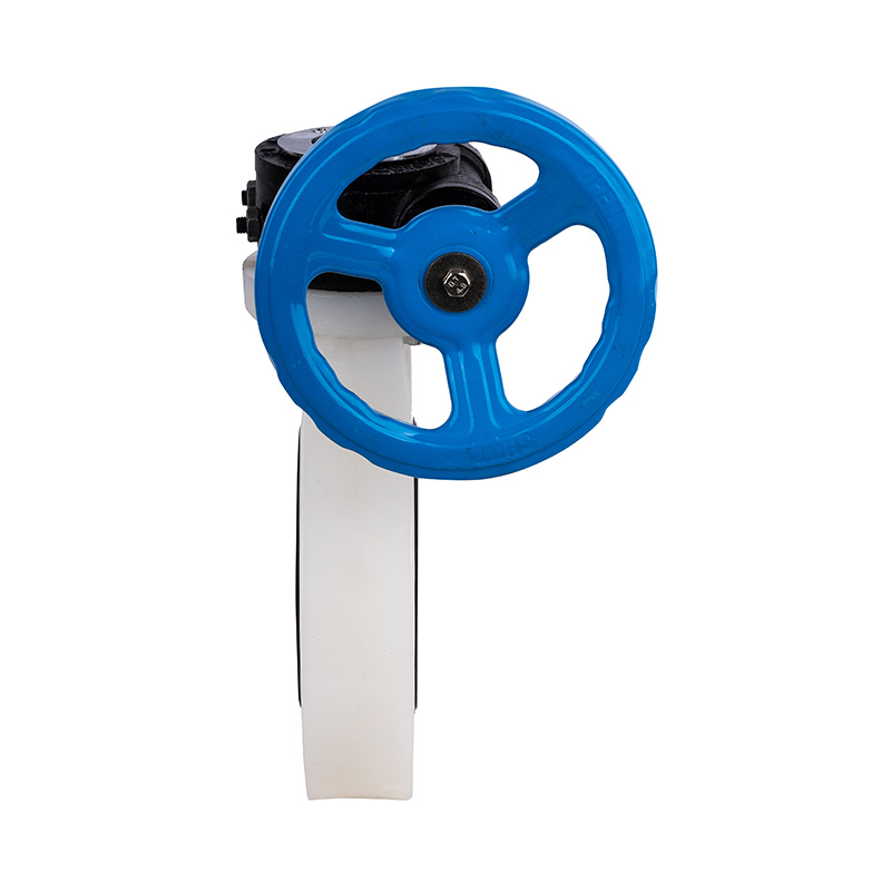 Supapă fluture PVDF D371X-10F cu angrenaj melcat DN32-1000 GB Standard