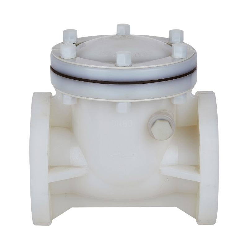 PVDF H44F-10F Supapă de reținere tip pivotant DN15-300 1/2'-12' Standard ANSI
